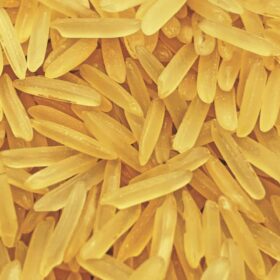 1121 Golden Sella Basmati rice - IndiaFeast