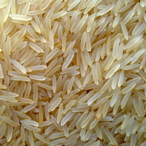 "1121 Extra Long Grain Basmati Rice: The Crown Jewel of Basmati"