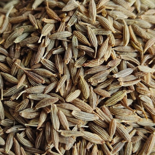 Fresh Natural Dried Cumin Seeds | Organic Whole Cumin/Jeera.