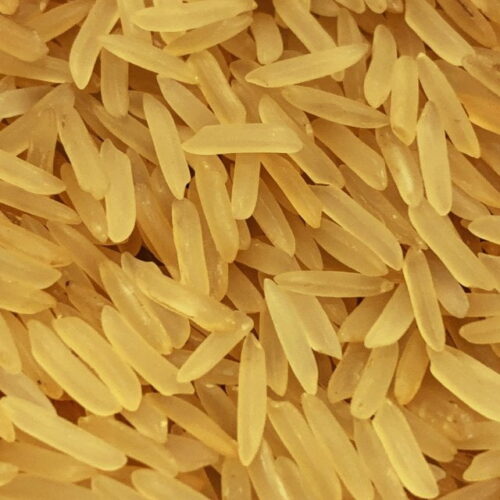 Sharbati Golden Sella Rice, Manufacturing, Processing, Warehousing, Packaging, and Export.