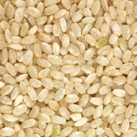 Brown-rice round grain