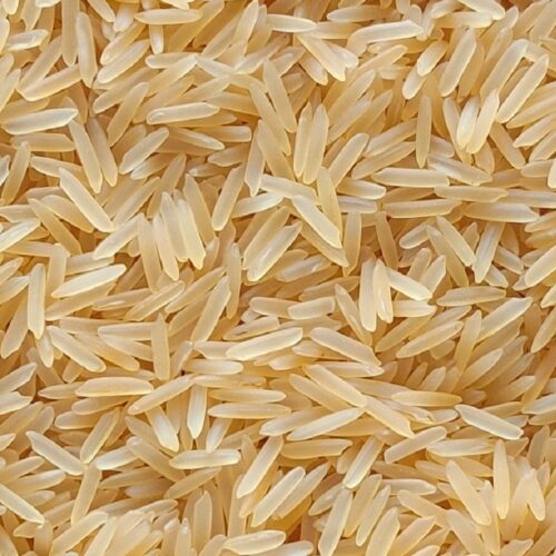 Premium Quality Golden Sella Basmati Rice 1121