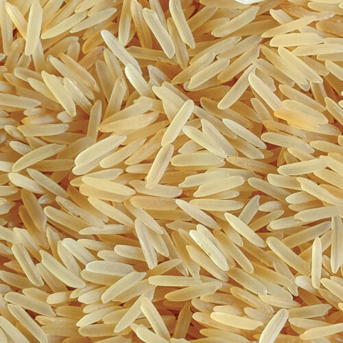 Parmal Golden Sella Rice, Manufacturing, Processing, Warehousing, Packaging, and Export.