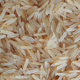 1509 Golden Sella Basmati Rice 1