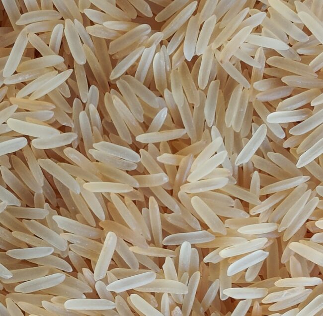 1509 Golden Sella Basmati Rice 1