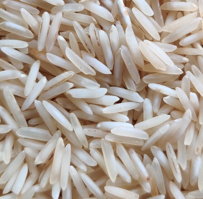 1509 Raw White Basmati Rice1