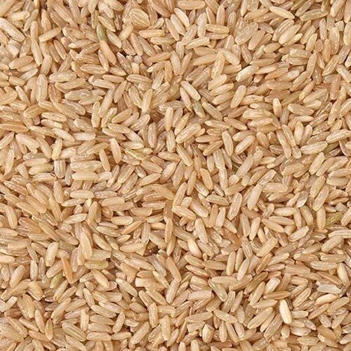 Premium Quality, Product Development Brown Rice Medium Grain