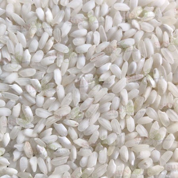 Round Grain White Rice