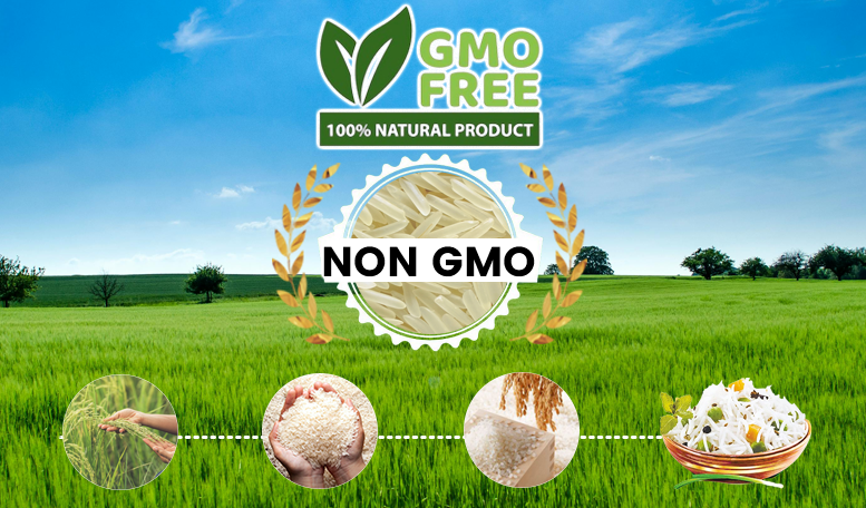 GMO FREE2