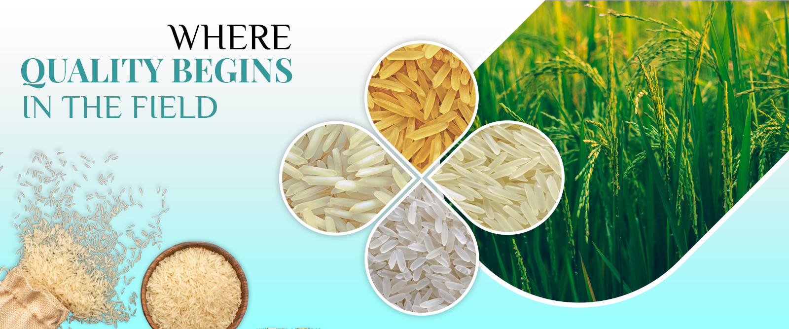 Quality Rice Exporters Basmati Rice